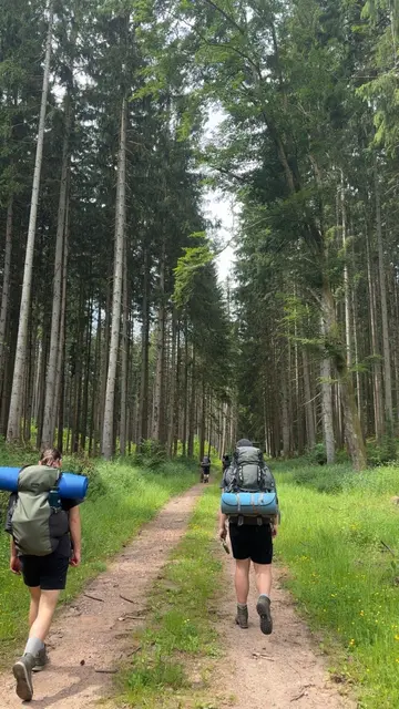Auf dem Weg durch den Pfälzer Wald | Foto: Amina Courbier