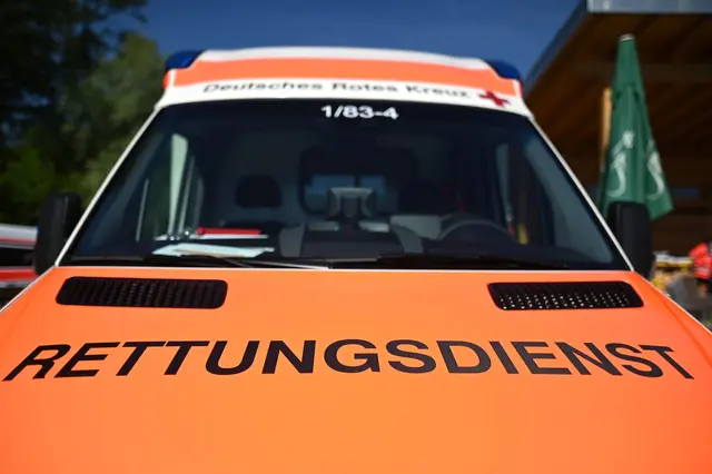 Das Paddle-Board kollidierte mit einem Baum. (Symbolbild) | Foto: Patrick Seeger/dpa