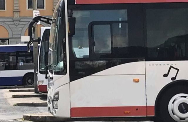 Wer sich im Bus unsicher fühlt, kann bei einem Mobilitätstraining Ein- und Aussteigen in Ruhe üben. | Foto: Stadt Neustadt
