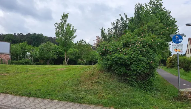 Das Grundstück für das geplante Wohnprojekt befindet sich mitten in einem Wohngebiet von Weilerbach. Der Radweg führt direkt vorbei | Foto: Monika Klein