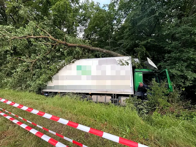 Ein Lkw kam auf der L386 bei Rockenhausen von der Straße ab, stürzte eine Böschung hinunter und landete in einem Waldstück. Der Fahrer wurde leicht verletzt, die Straße blieb wegen der Bergung stundenlang gesperrt. | Foto: Polizeiinspektion Rockenhausen