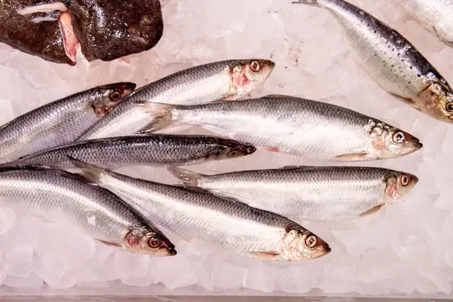 WWF-Marktcheck: Lediglich 27 Prozent der untersuchten Fischprodukte in deutschen Supermärkten schnitten als empfehlenswert ab. | Foto: dpa