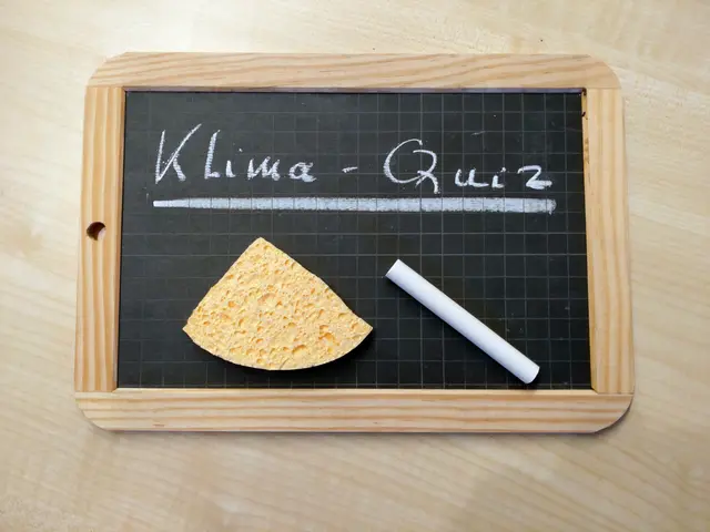 Klima-Quiz | Foto: Peter Hasbach
