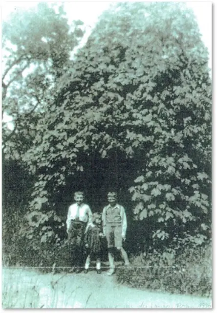 Foto: Archiv Förderkreis Schloßgarten
