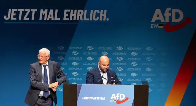 Frohnmaier und Sänze konnten den Landesverband befrieden. | Foto: Stefan Puchner/dpa