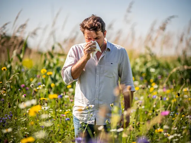 Die Gräserpollenbelastung bleibt in der Pfalz nach DWD-Angaben hoch, Roggen bleibt im gering bis mittleren Bereich. | Foto: Stephanie Walter - erstellt mit KI
