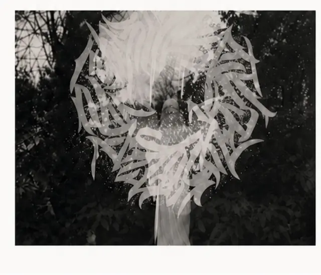 „Shapes of Resonance“ - Fotografie trifft Kalligraphie | Foto: Bianca Staff und Grow