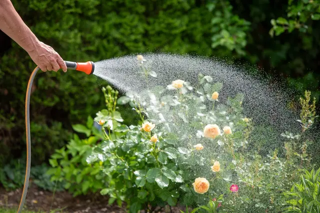 Tipps zur Gartenbewässerung mit Schlauch, Regner, Tropfsystem und Bewässerungscomputer. | Foto: TÜV SÜD/Conny Kurz