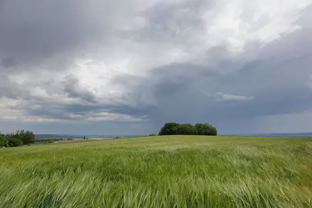 Die Prognose klingt wenig sommerlich: Für die nächsten Tage sind im Südwesten Regen und Wolken angesagt. (Archivbild) | Foto: Thomas Warnack/dpa
