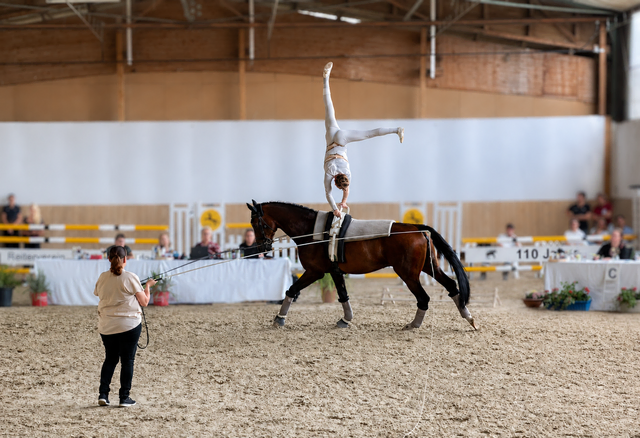 Tom Lehner, Pegasus Mühlacker, beim Turnier in Durlach 2025 | Foto: Reiterverein 1908 Durlach