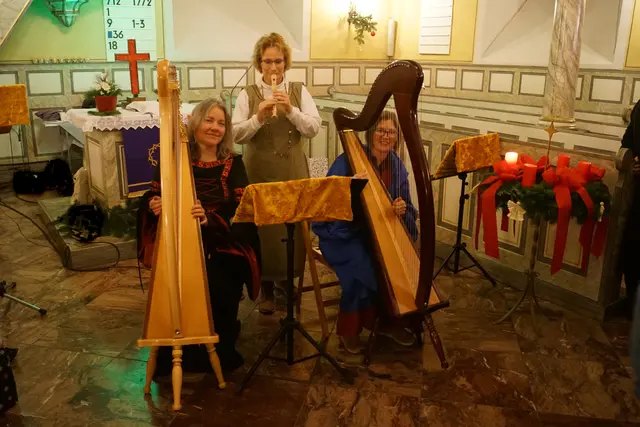 Harfenzauber mit dem Trio flessibile am 21. Juni im Salischen Hof/Schifferstadt | Foto: Wolfgang Napp