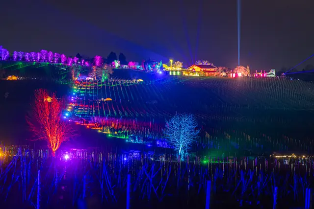 Am 5. und 6. März 2027 lädt die Bad Dürkheimer Weinbergnacht zur exklusiven Open-Air-Weinprobe durch die beleuchteten Weinberge ein. | Foto: Heimatlicher GmbH