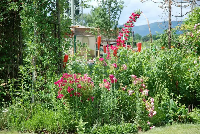 Ein Spaziergang durch geöffnete Gartenanlagen liefert neue Ideen für den eigenen Garten. | Foto: Markus Pacher