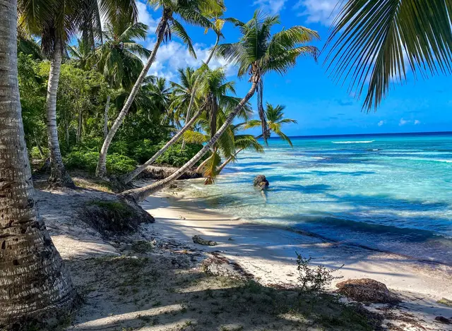 Palmen, Strand - ganz ohne Stress. Damit es auch vor Ort so bleibt: beim Buchen nicht nur auf den Preis schauen, sondern aufs Gesamtpaket.  | Foto: dpa