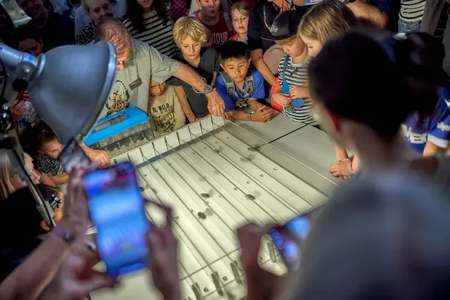 Unter dem Motto „Kultur zählt!“ öffnen zahlreiche Karlsruher Kulturinstitutionen von 18 bis 24 Uhr ihre Türen und laden bei Führungen, Lesungen und Konzerten dazu ein, gemeinsam die kulturelle Vielfalt der Fächerstadt zu entdecken.  | Foto: KTG Karlsruhe Tourismus GmbH, Foto: Bruno Kelzer