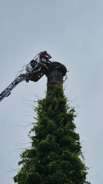 Mit der Feuerwehr gehts in 25 Meter luftige Höhe | Foto: Johannes Haag/frei