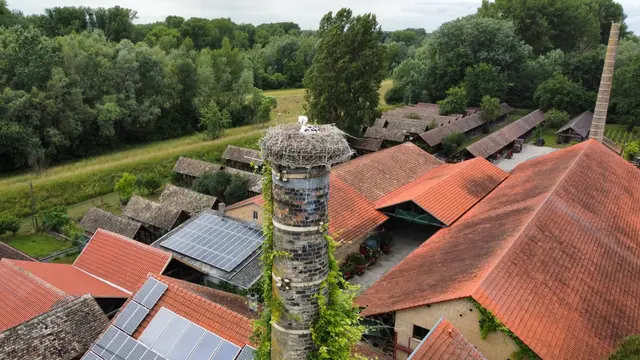 Das Storchennest über der Alten Ziegelei | Foto: Florian Gaßmann, Feuerwehr Germersheim 