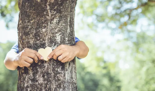 Klimaschutz-Fördertopf in Landau ist leer: 1.391 Anträge bewilligt | Foto: SKT Studio/stock.adobe.com