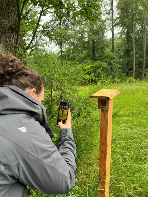 QR-Codes lassen sich auch auf Holz abscannen | Foto: Landesforsten.RLP.de/P.Hochscheidt/gratis