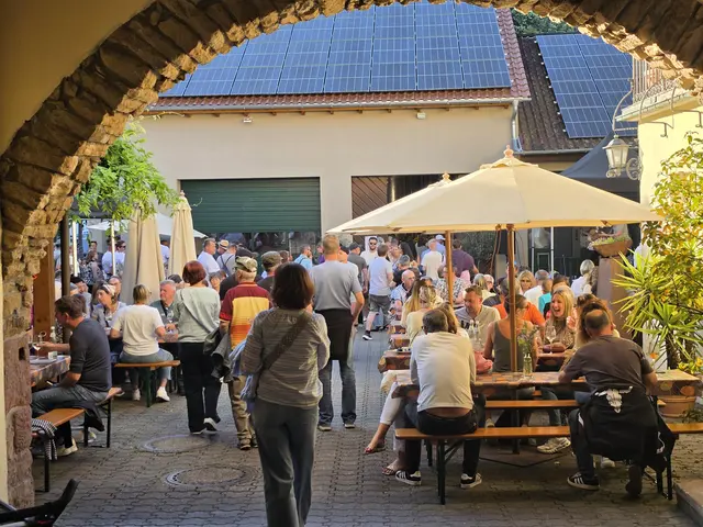 Das Schlossstraßenfest lockte zahlreiche Gäste in die Höfe und Gassen des Weindorfes. | Foto: Eva Bender
