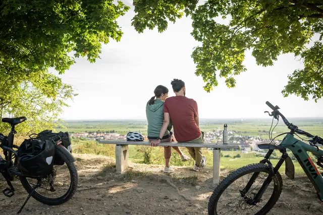 Stadtradeln-Aktion 2026 endet mit kleiner Feierstunde in Lambrecht (Symbolbild) | Foto: Pfalz Touristik, Dominik Ketz