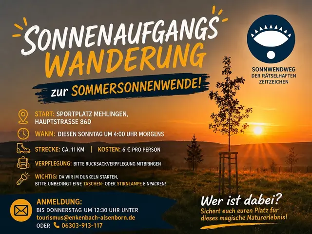 Ein nebliger Waldweg im Pfälzerwald bei Sonnenaufgang, auf dem das goldene Sonnenlicht durch die Bäume bricht.