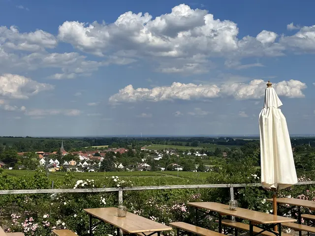 Der Blick über Reben und Landschaft gehört beim Weinpanorama in Heuchelheim-Klingen genauso zum Fest wie Wein und Ausschank | Foto: Simone Leonhard-Frech/gratis