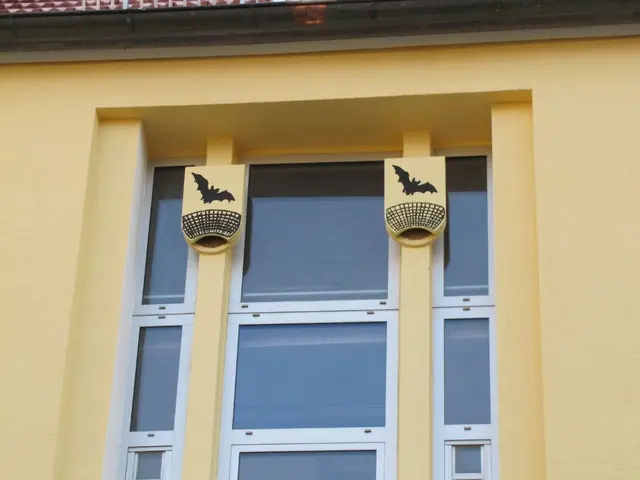 Fledermausnistkästen an einer Hauswand. (Foto: Stadt Heidelberg) | Foto: Stadt Heidelberg