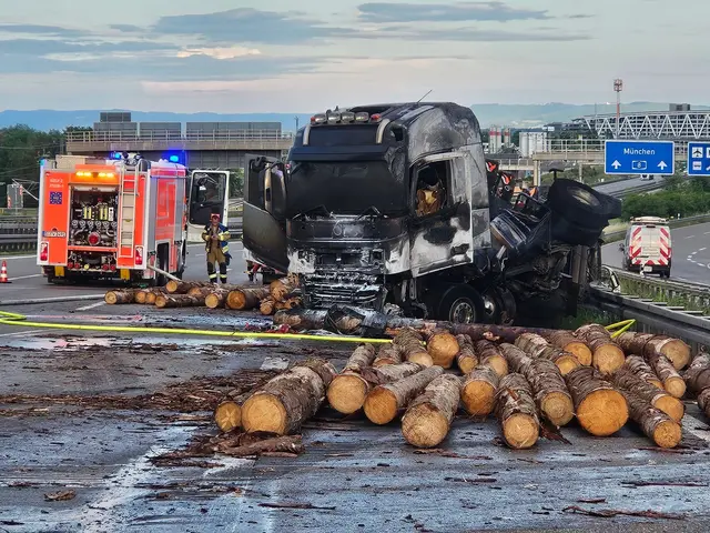 Der in Vollbrand geratene Lkw mitsamt Holzladung sorgte für eine Sperrung auf der A8. | Foto: Andreas Rosar/dpa