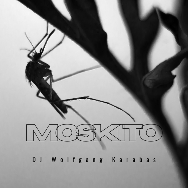 Moskito enervito, bald bist du finito. Einen Literaturpreis wird DJ Wolfgang Karabas mit seiner Debüt-Single "Moskito" nicht gewinnen, aber die Charts erscheinen realistisch. | Foto: Waldklee Records