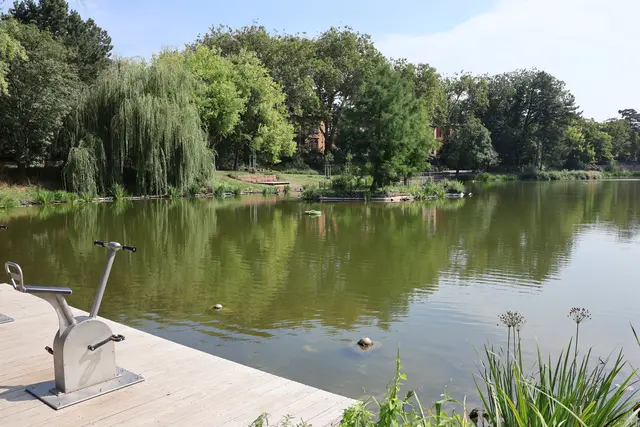 Der Landauer Schwanenweiher braucht Entlastung | Foto: Stadt Landau