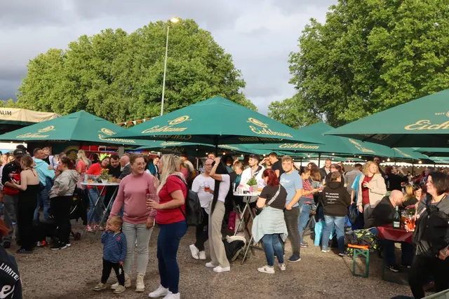 Vom Pfalzfest in Ludwigshafen bis zur Weinkerwe im Weinort: Das Wochenende vom 19. bis 21. Juni bringt in der Pfalz wieder viele Feste zusammen | Foto: Julia Glöckner