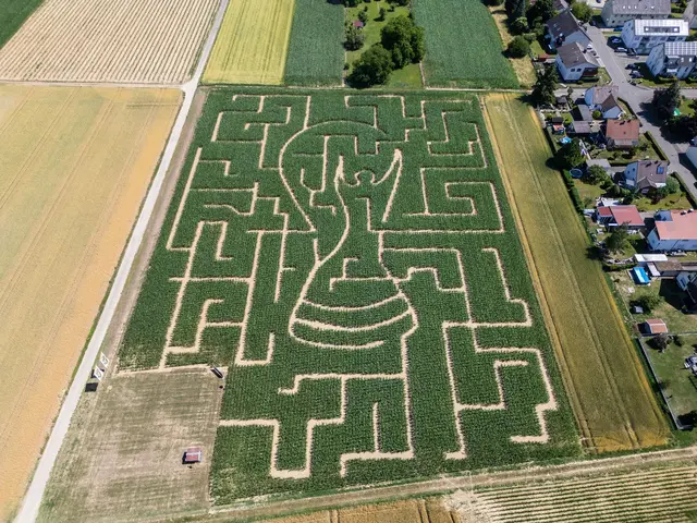 Dieser Irrgarten hat eine ganz besondere Form.  | Foto: Silas Stein/dpa