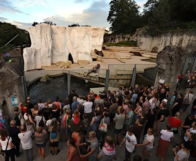 Am frühen Sommerabend noch spontan in den Zoo gehen und Tiere, Führungen und Musik in besonderer Atmosphäre erleben. | Foto:  | Zoo Karlsruhe, Timo Deible (Archiv)