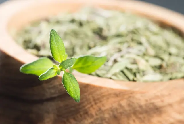 Für Küche und Gesundheit: Mit ätherischen Ölen wie Thymol fördert Thymian die Verdauung und wird traditionell als Heilpflanze gegen Husten und Erkältung eingesetzt.  | Foto: dpa