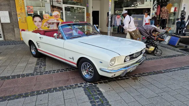 Foto: Ralf Vester