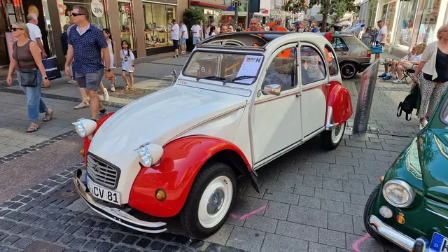 Foto: Ralf Vester