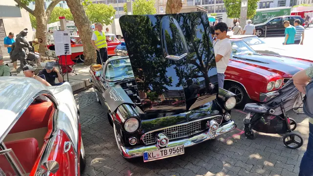 Foto: Ralf Vester