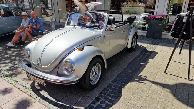 Foto: Ralf Vester