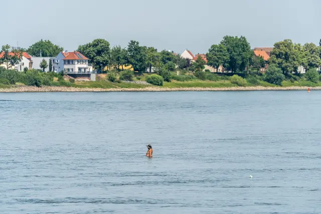 So sieht der Rhein bei Biblis aus. Hier nicht nur auf dem Flussgrund zu stehen, sondern in die Strommitte zu schwimmen kann lebensgefährlich sein. | Foto: Andreas Arnold/dpa