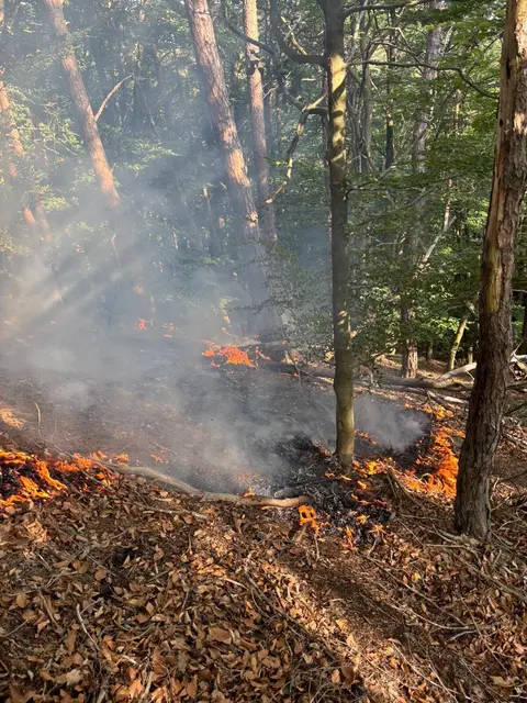 Als die ersten Einsatzkräfte eintrafen, hatte sich der Brand von der rund 300 Quadratmeter großen Kuppe bereits auf die angrenzenden Steilhänge ausgedehnt. Insgesamt waren etwa 1.000 Quadratmeter Waldfläche betroffen. | Foto: Feuerwehr Kaiserslautern