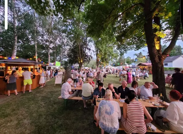 Lichterilluminierter Dt. Sandsteinpark beim gut besuchten Weinfest in Alsenz anl. 1250-Jahrfeier  | Foto: Arno Mohr 