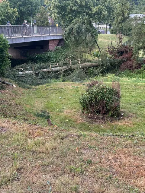 Umgefallener Baum direkt an Brücke Uferstraße nach Unwetter  | Foto: Arno Mohr 