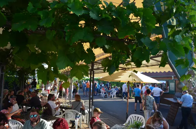 Der Schlössel-Garten lädt während des Weinzehnts zu regionaler Küche, Weingenuss und gemütlichem Verweilen ein. | Foto: i-Punkt Kirrweiler