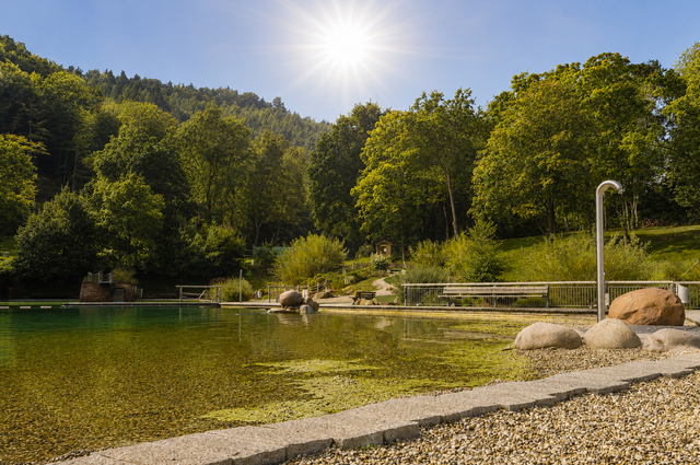 Die anhaltende Gluthitze macht dem Naturerlebnisbad Landstuhl zu schaffen: Wegen zu hoher Wassertemperaturen muss die Anlage am Freitag geschlossen bleiben. Das biologisch gereinigte Wasser benötigt niedrigere Temperaturen, um die Wasserqualität zu gewährleisten. | Foto: Archiv/PS mit KI bearbeitet