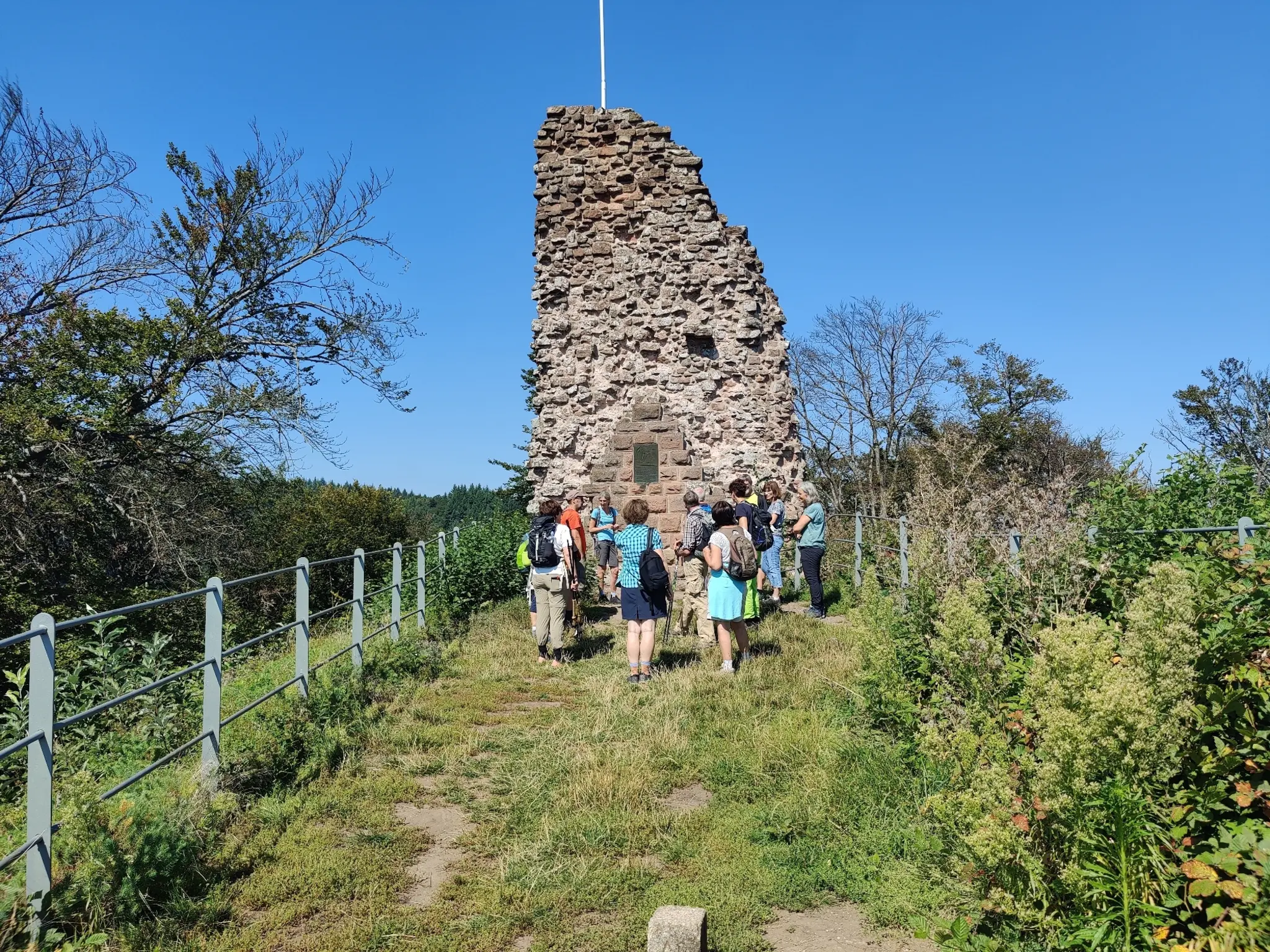 Sommer-Touren-im-Pf-lzerwald-Von-Sternenblick-bis-bernachtung-im-Privatwald