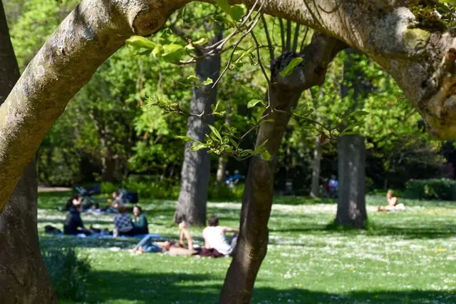 Bei Temperaturen bis 38 Grad suchen viele Menschen in Landau Schatten, Wasser und etwas Abkühlung | Foto: Stadt Landau