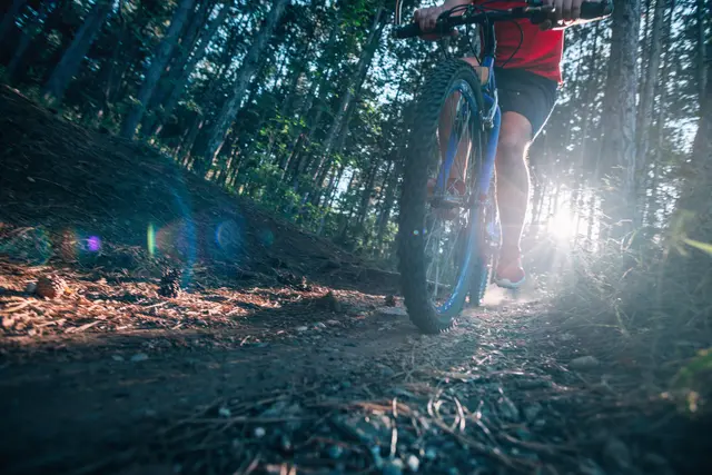 Der Mountainbikepark Pfälzerwald wurde mit dem Bike Spirit Award 2026 in der Kategorie „Bike-Erlebnis“ ausgezeichnet | Foto: qunica.com/stock.adobe.com