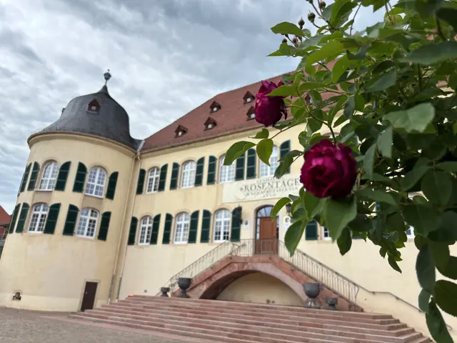 Neuer Beigeordneter Bad Bergzabern: Tobias Weisenburger bezieht Anfang Januar 2027 sein Büro im Schloss. | Foto: Thorsten Kornmann