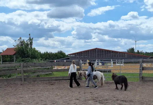 Ponyführen mit Shetty-Begleitung | Foto: Carolin Gross